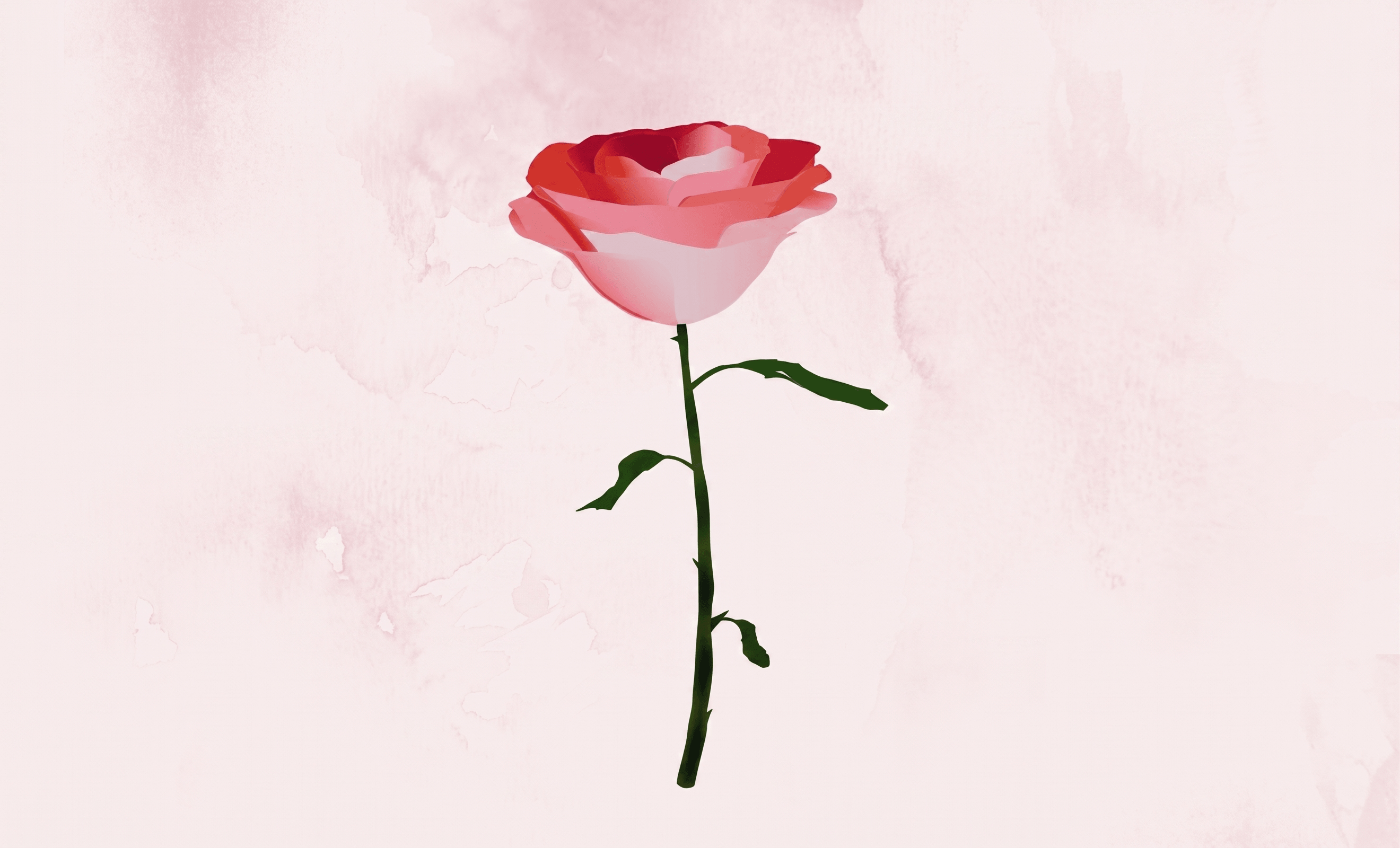 Gift a Rose
